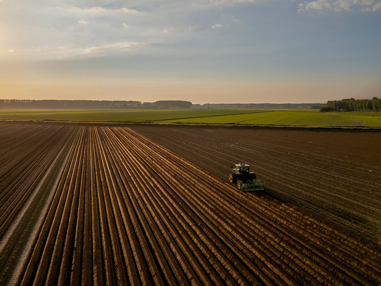 Aerial view of freshly tilled crop rows